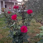 Kamena Kuca Family Rodin Appartement *