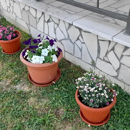 Kamena Kuca Family Rodin