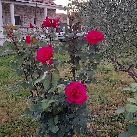 Kamena Kuca Family Rodin Apartman *