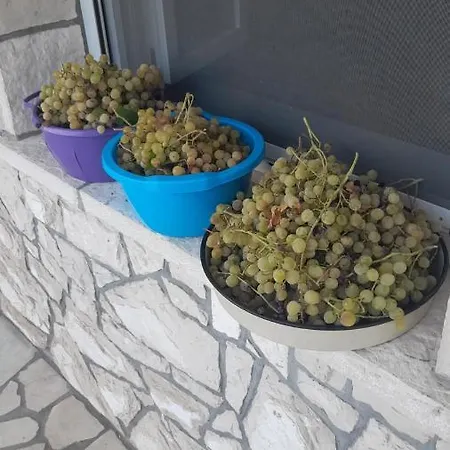 Kamena Kuca Family Rodin *