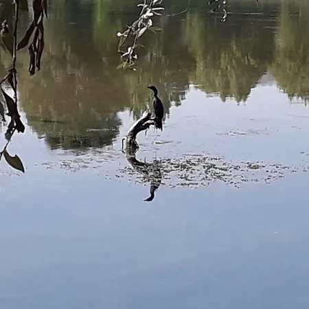 Kamena Kuca Family Rodin Appartamento Čapljina